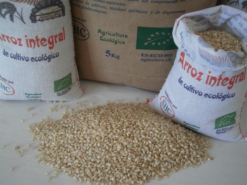 Arroz Integral  Cuenca Segura Bio (a granel) - 100g
